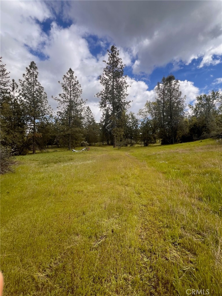 4959 Sierra Pines, Mariposa, CA 95338