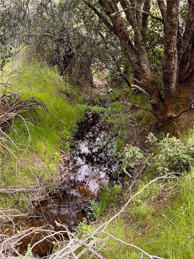 4959 Sierra Pines, Mariposa, CA 95338