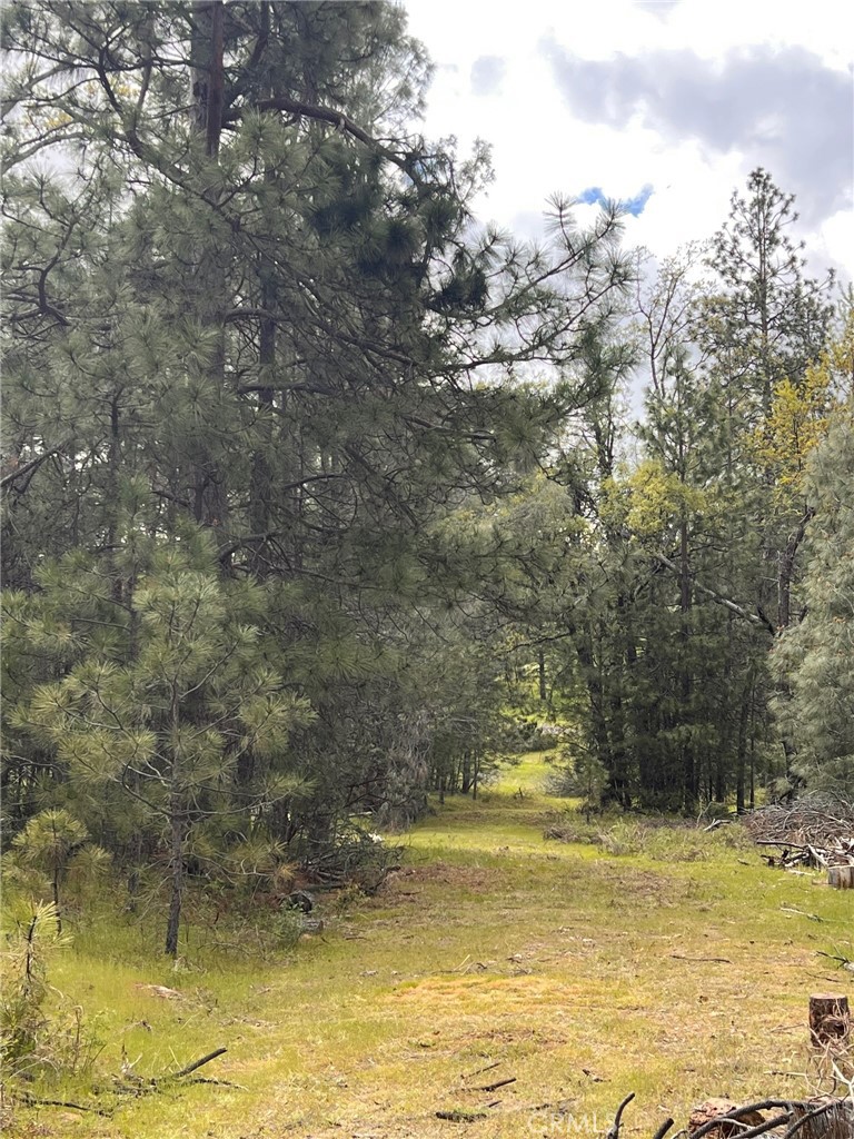 4959 Sierra Pines, Mariposa, CA 95338