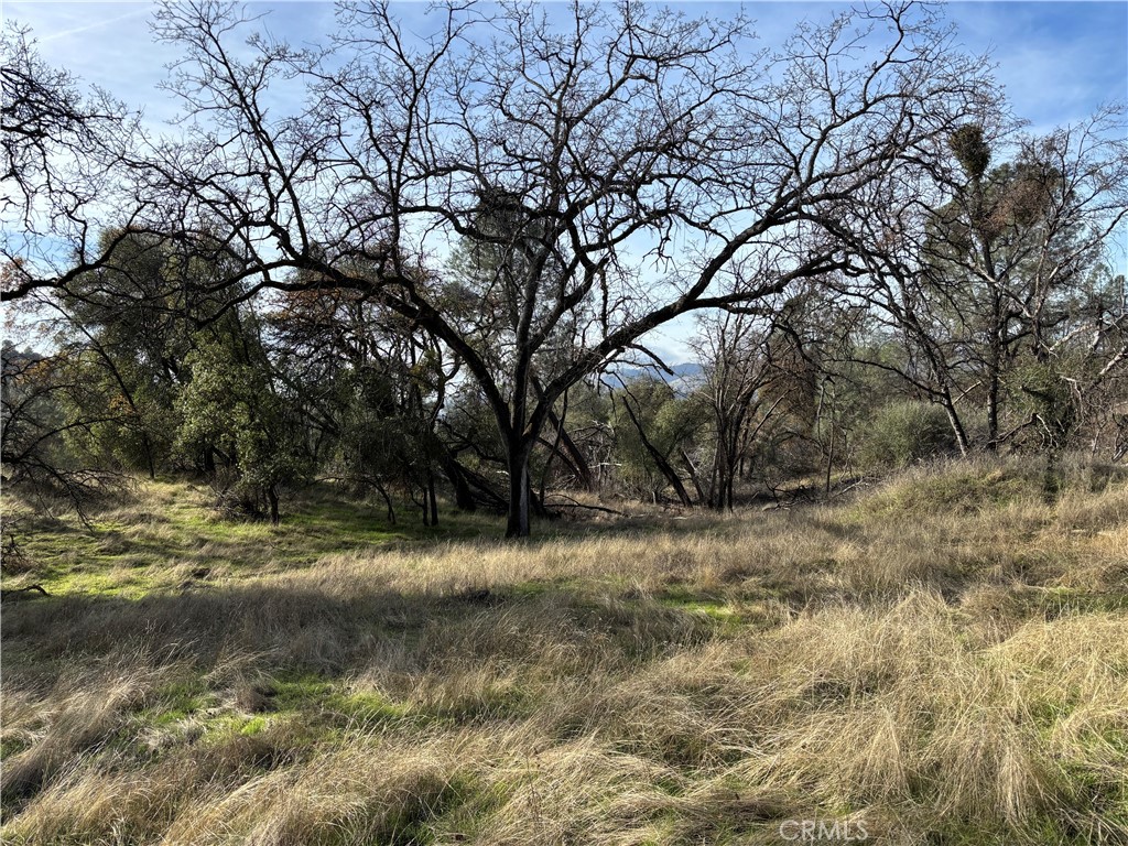 0 Daffodil Dr, Mariposa, CA 95338