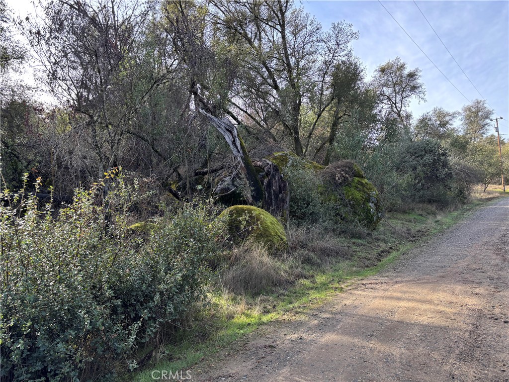0 Daffodil Dr, Mariposa, CA 95338