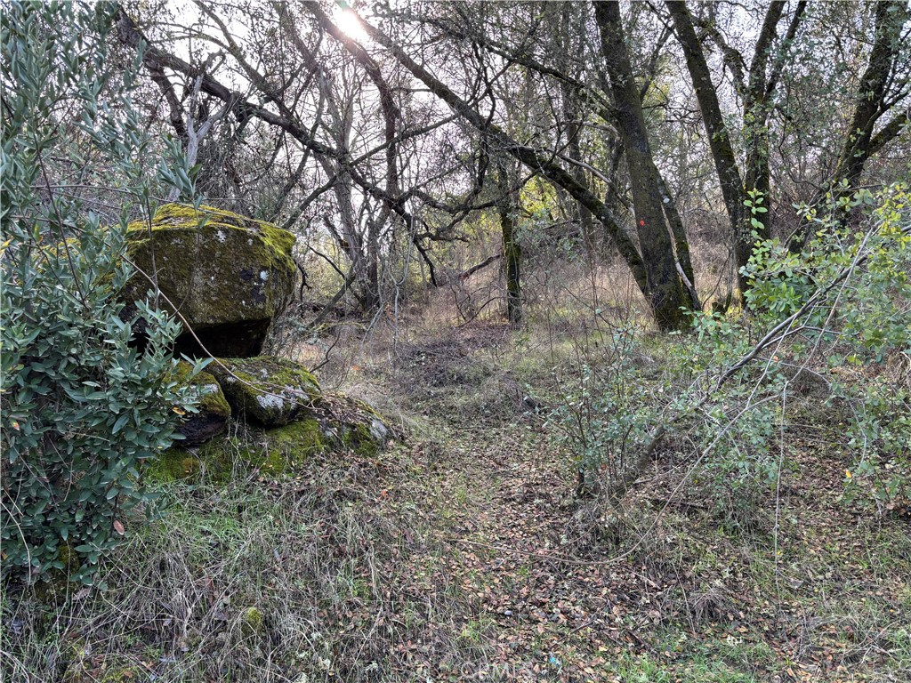 0 Daffodil Dr, Mariposa, CA 95338