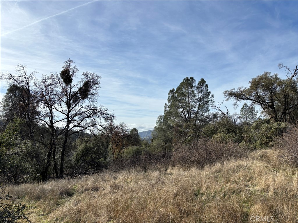 0 Daffodil Dr, Mariposa, CA 95338