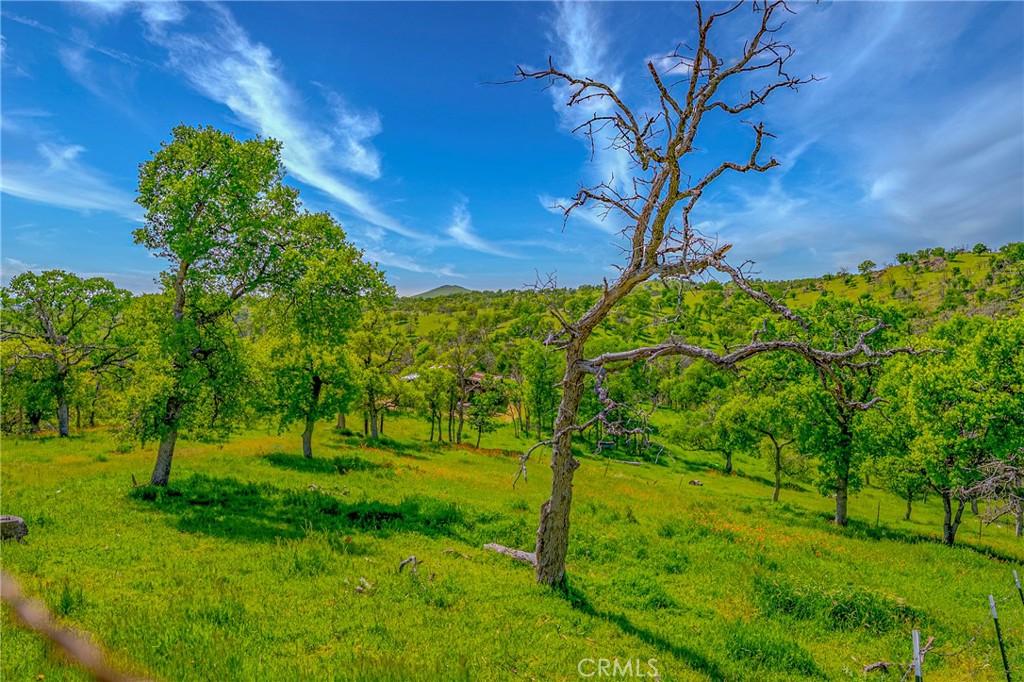 3084 Old Highway, Catheys Valley, CA 95306