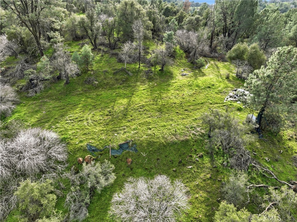 0 Lookout moumtain, Mariposa, CA 95338