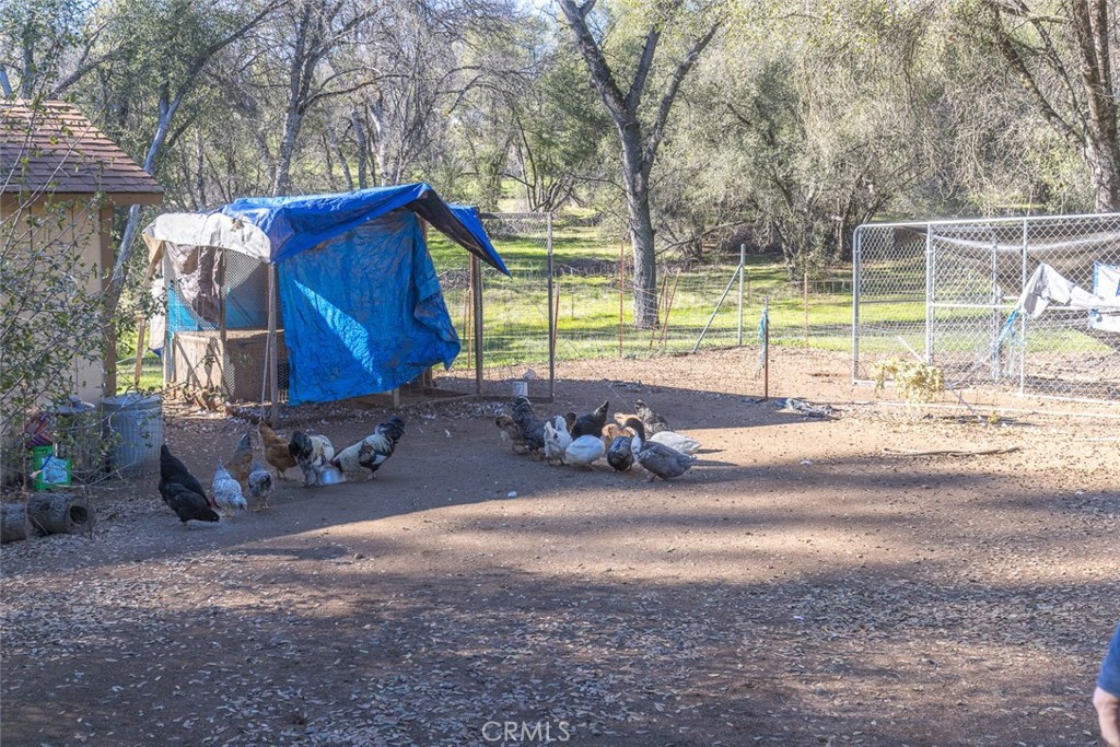 3977 Spring Ct, Mariposa, CA 95338