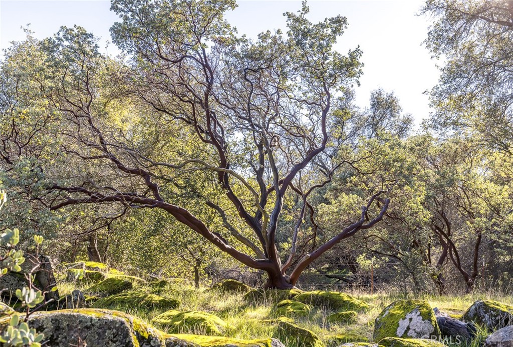 3977 Spring Ct, Mariposa, CA 95338