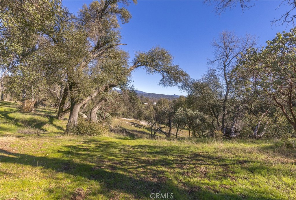 3977 Spring Ct, Mariposa, CA 95338
