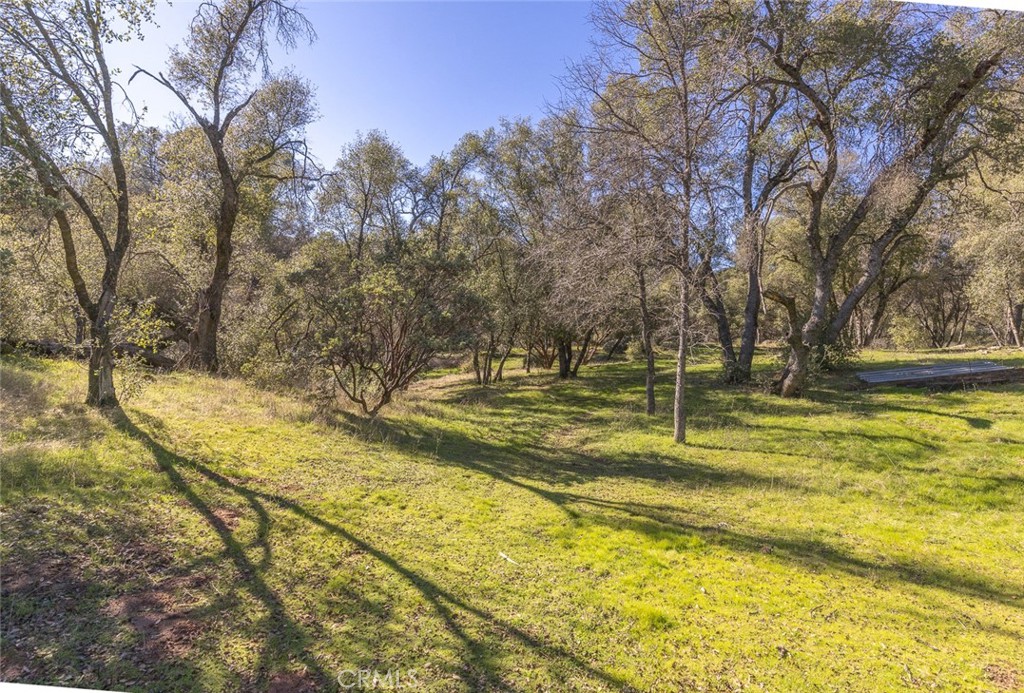 3977 Spring Ct, Mariposa, CA 95338
