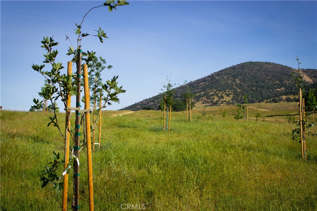 5015 Macready Way, Mariposa, CA 95338