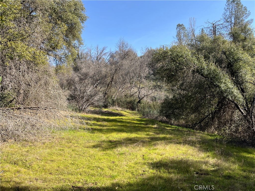 5643 Darrah Rd, Mariposa, CA 95338