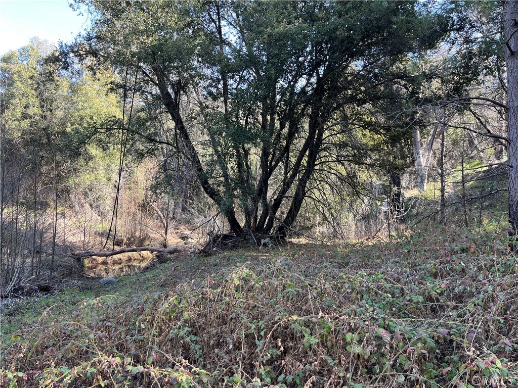 5643 Darrah Rd, Mariposa, CA 95338