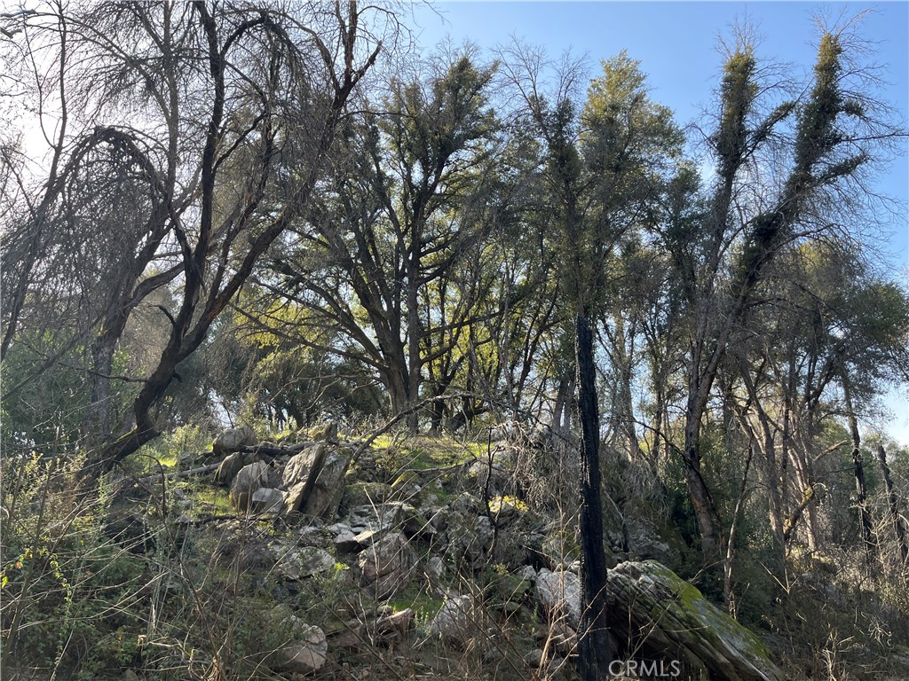 5643 Darrah Rd, Mariposa, CA 95338