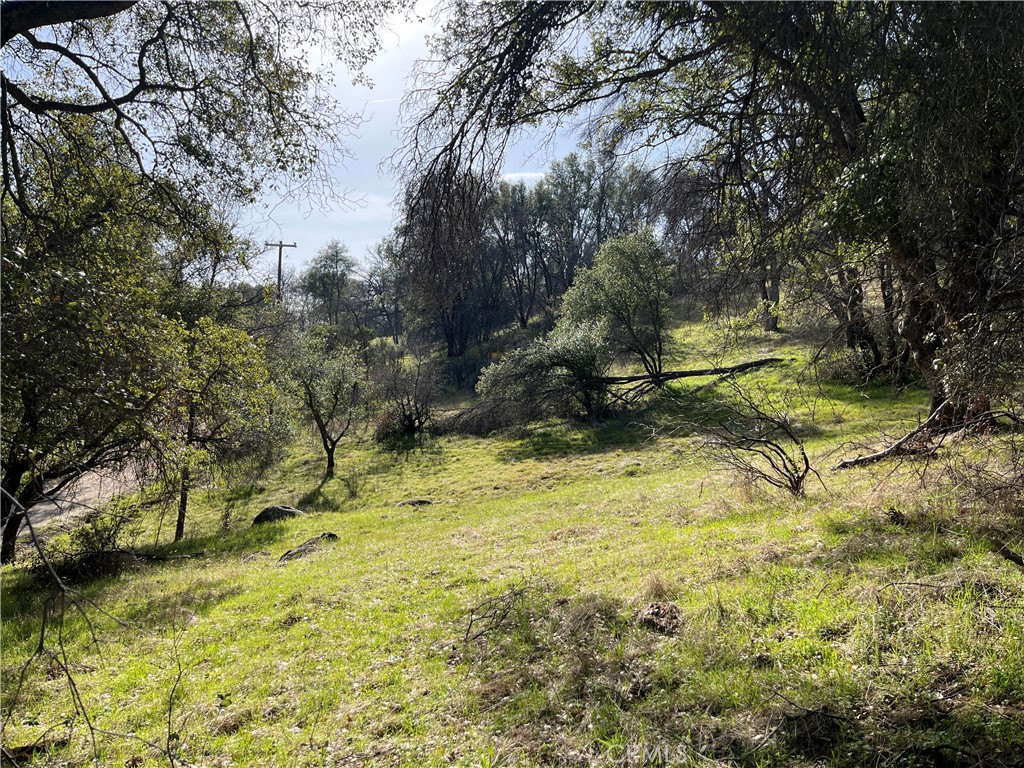 5643 Darrah Rd, Mariposa, CA 95338