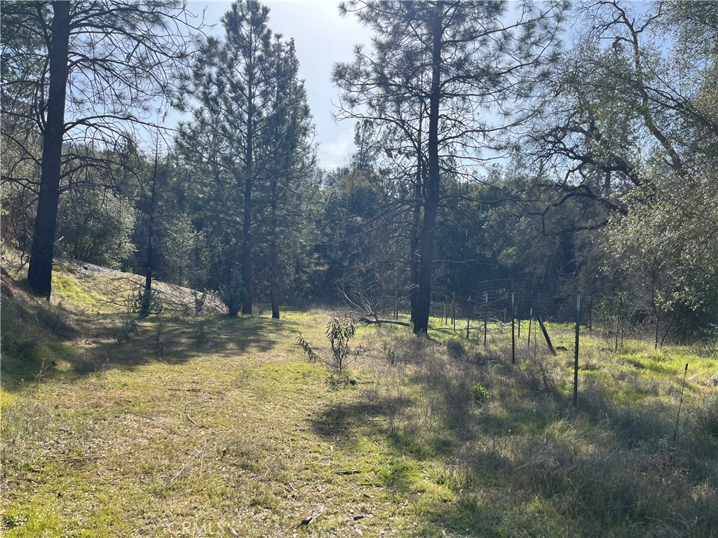 5643 Darrah Rd, Mariposa, CA 95338