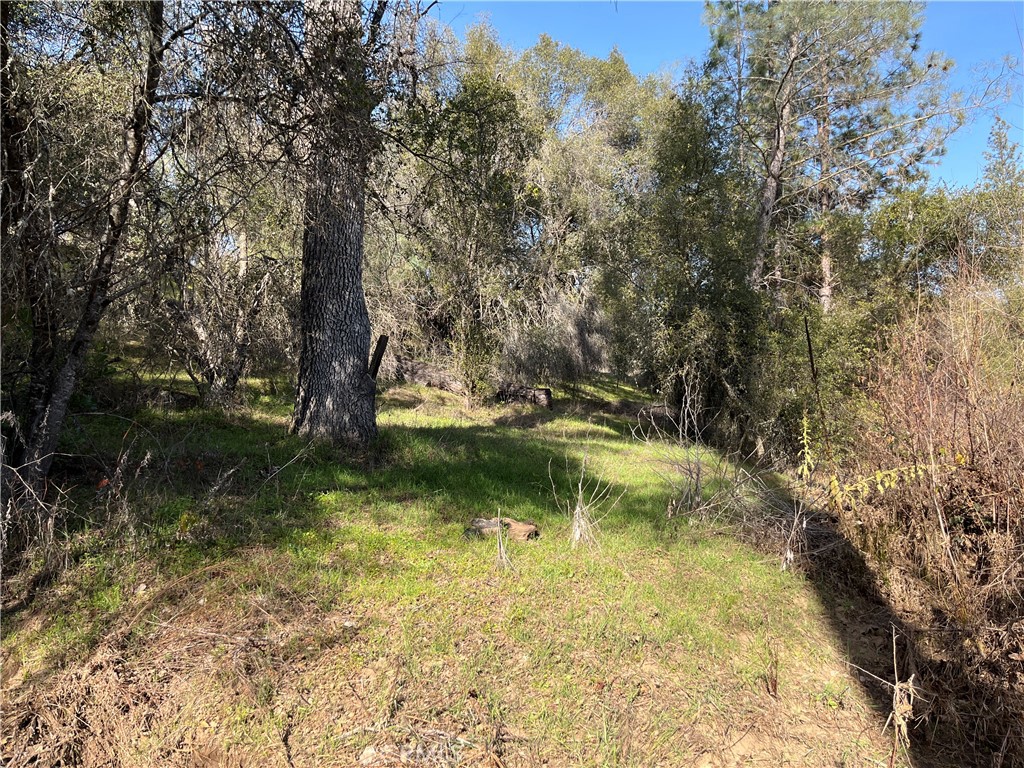 5643 Darrah Rd, Mariposa, CA 95338
