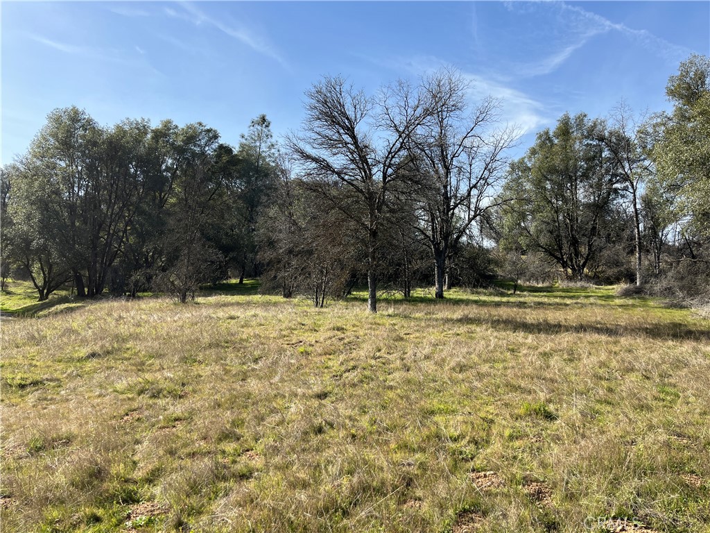 5643 Darrah Rd, Mariposa, CA 95338