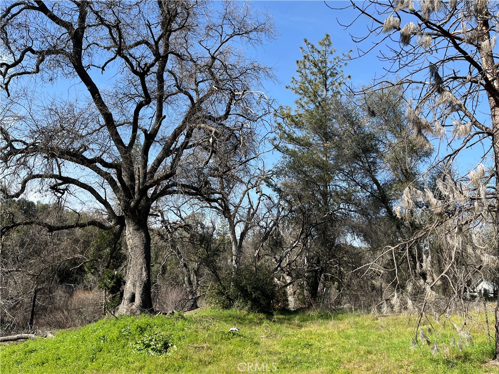 5643 Darrah Rd, Mariposa, CA 95338