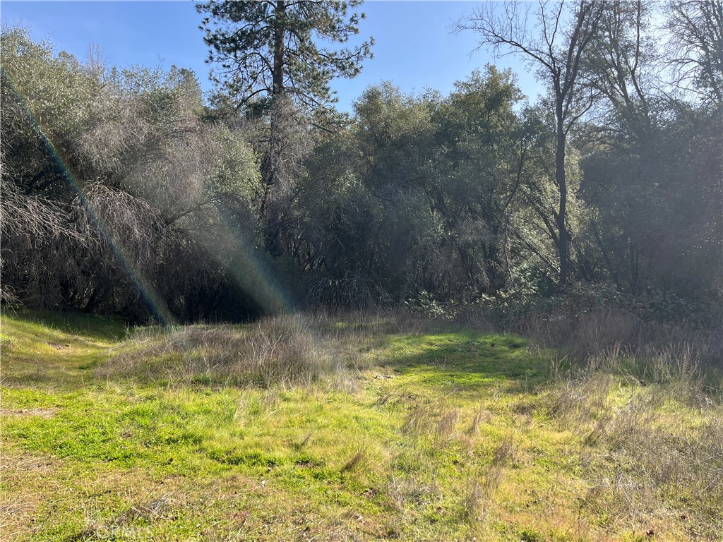5643 Darrah Rd, Mariposa, CA 95338