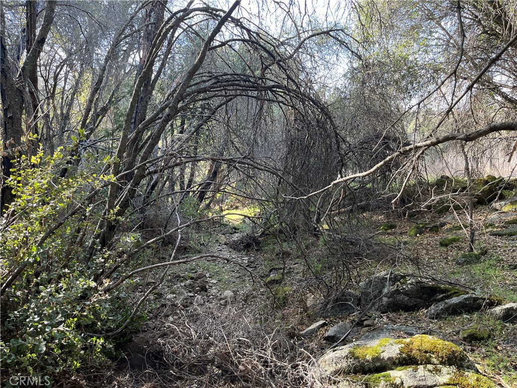 5643 Darrah Rd, Mariposa, CA 95338