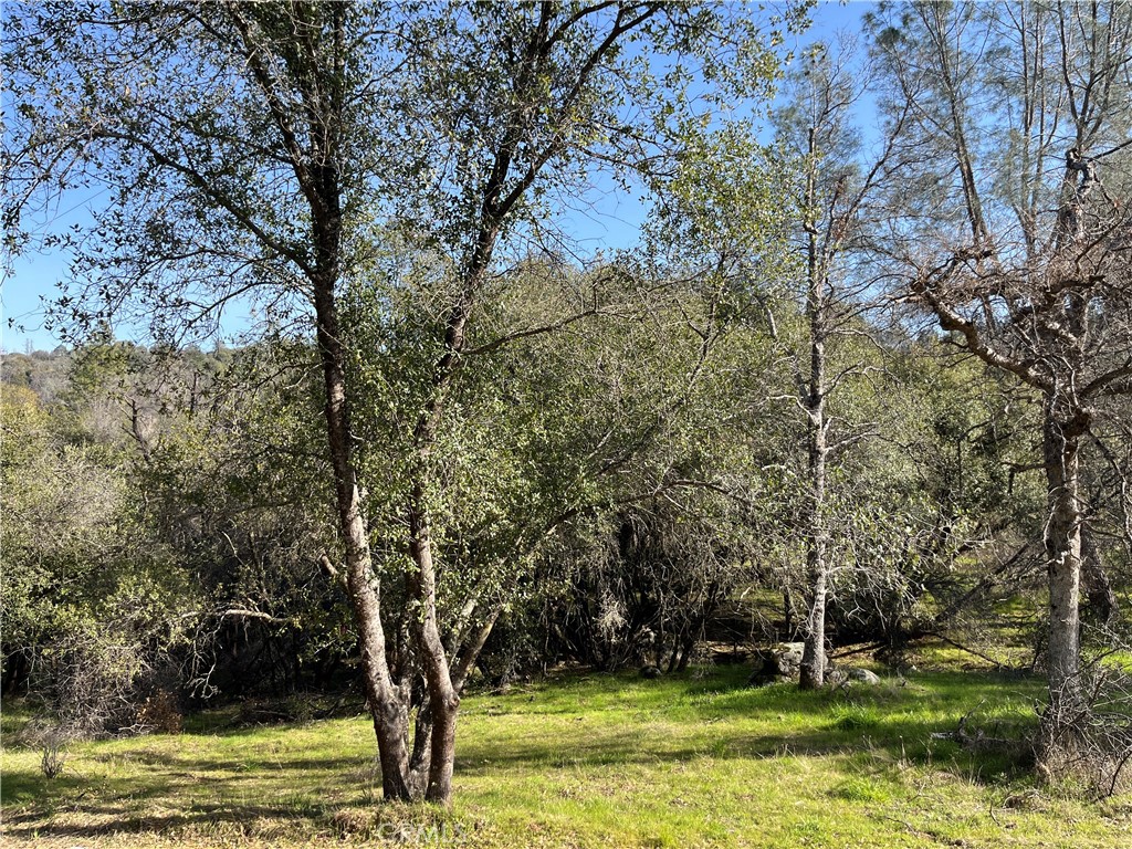 5643 Darrah Rd, Mariposa, CA 95338