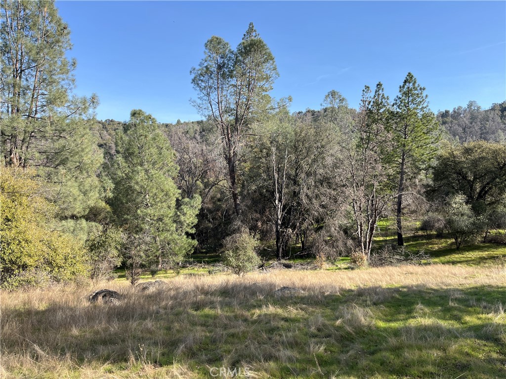 5643 Darrah Rd, Mariposa, CA 95338