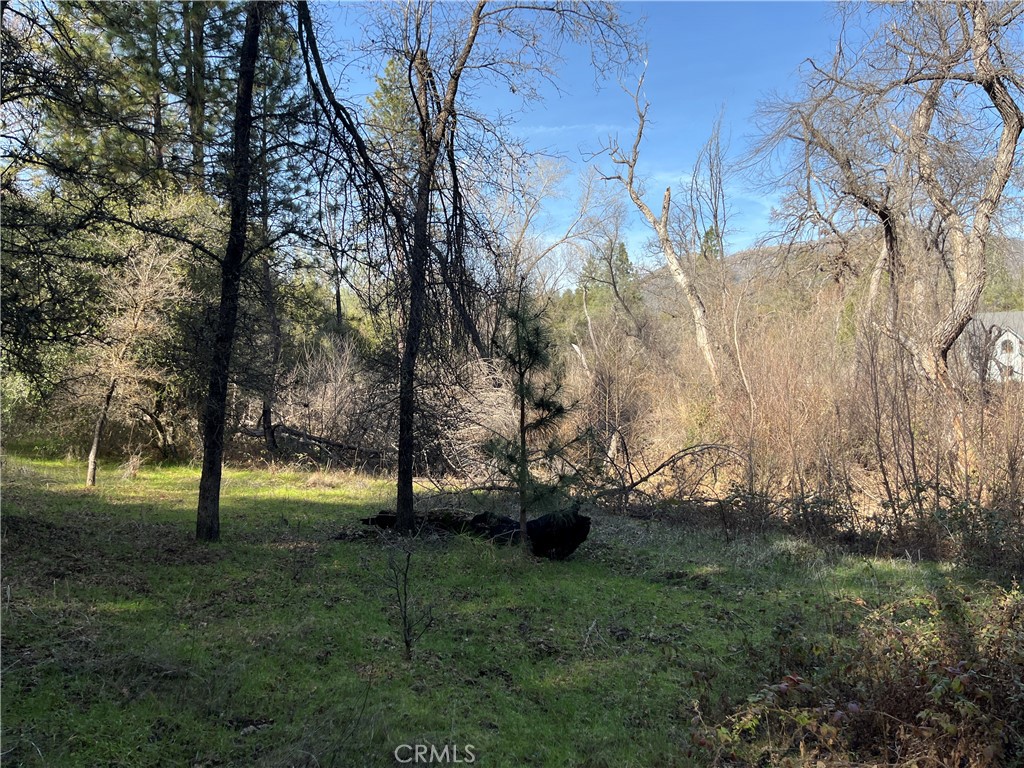 5643 Darrah Rd, Mariposa, CA 95338