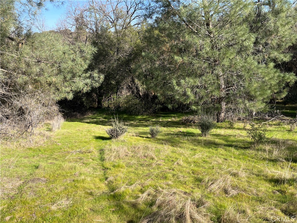 5643 Darrah Rd, Mariposa, CA 95338