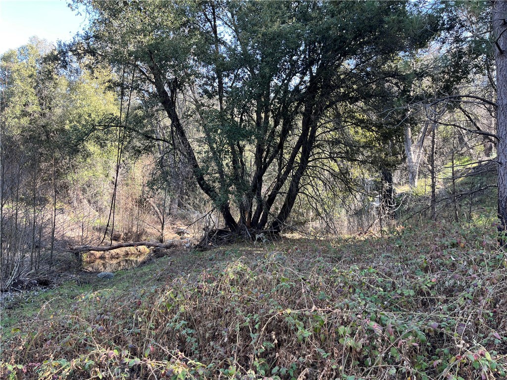 5643 Darrah Rd, Mariposa, CA 95338