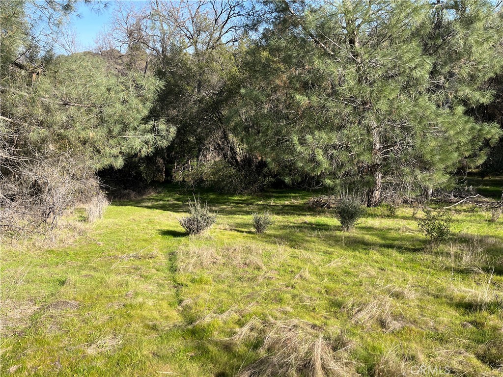 5643 Darrah Rd, Mariposa, CA 95338