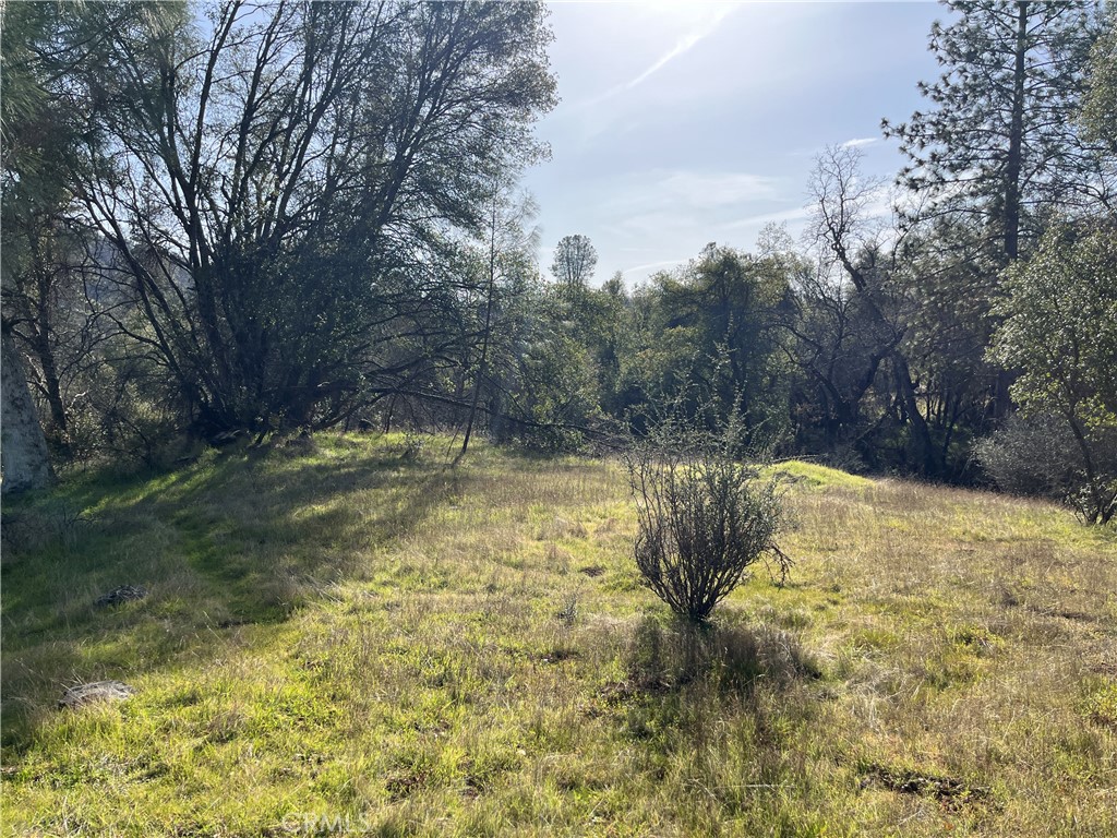5643 Darrah Rd, Mariposa, CA 95338