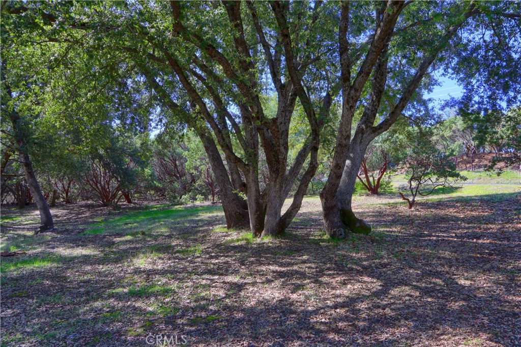 5840 Evergreen Ln, Mariposa, CA 95338