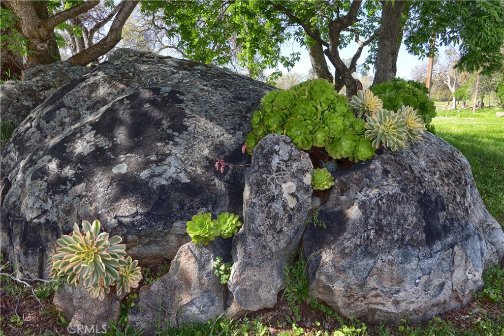 3311 Highway 140, Catheys Valley, CA 95306