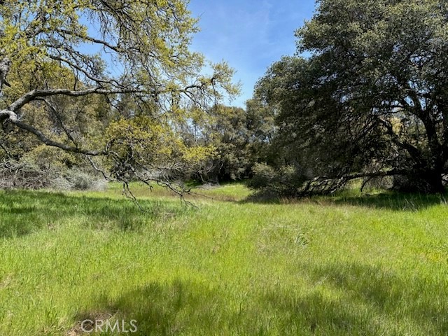 0 Highway 49 N, Mariposa, CA 95338