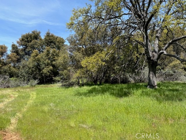 0 Highway 49 N, Mariposa, CA 95338
