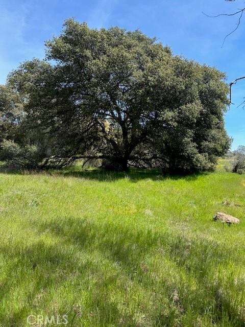 0 Highway 49 N, Mariposa, CA 95338