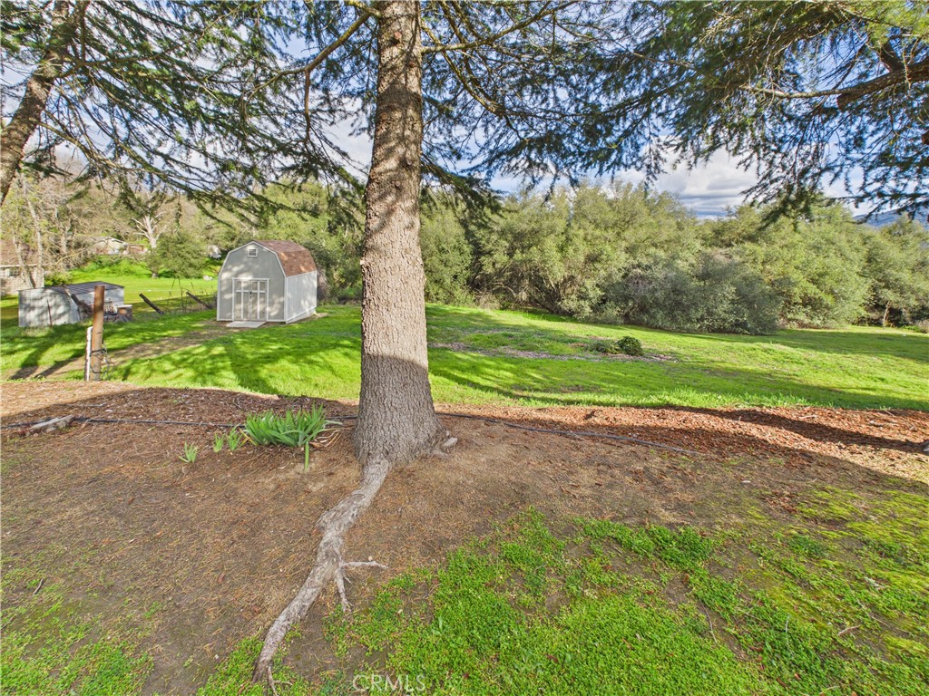 42177 Lone Olive, Ahwahnee, CA 93601