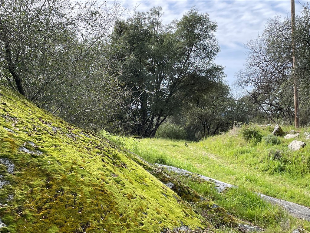 832 Silver Bar Rd, Mariposa, CA 95338