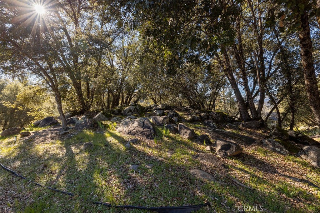 39301 Moonray Ln, Oakhurst, CA 93644