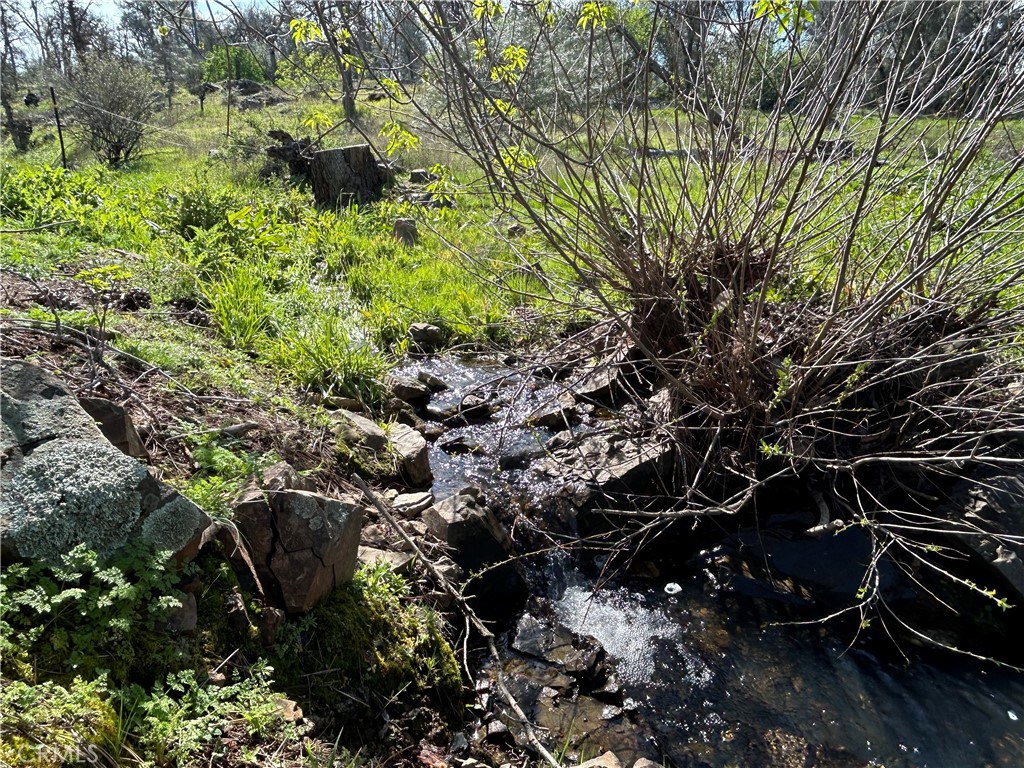 4456 Mount Bullion Cut Off, Catheys Valley, CA 95306