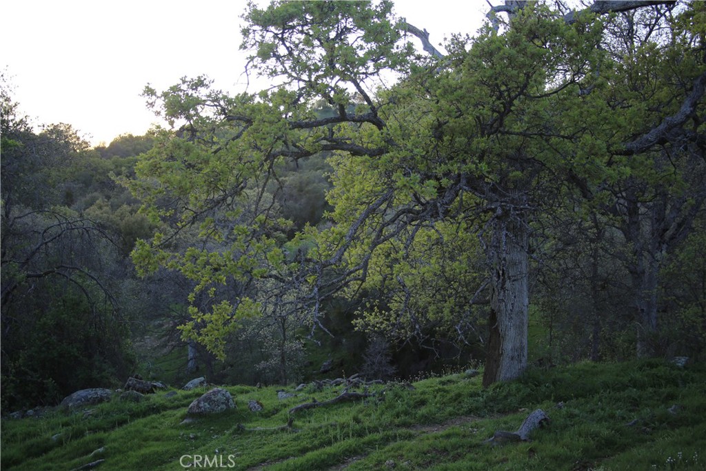 18 Unassigned Usona Rd., Mariposa, CA 95338