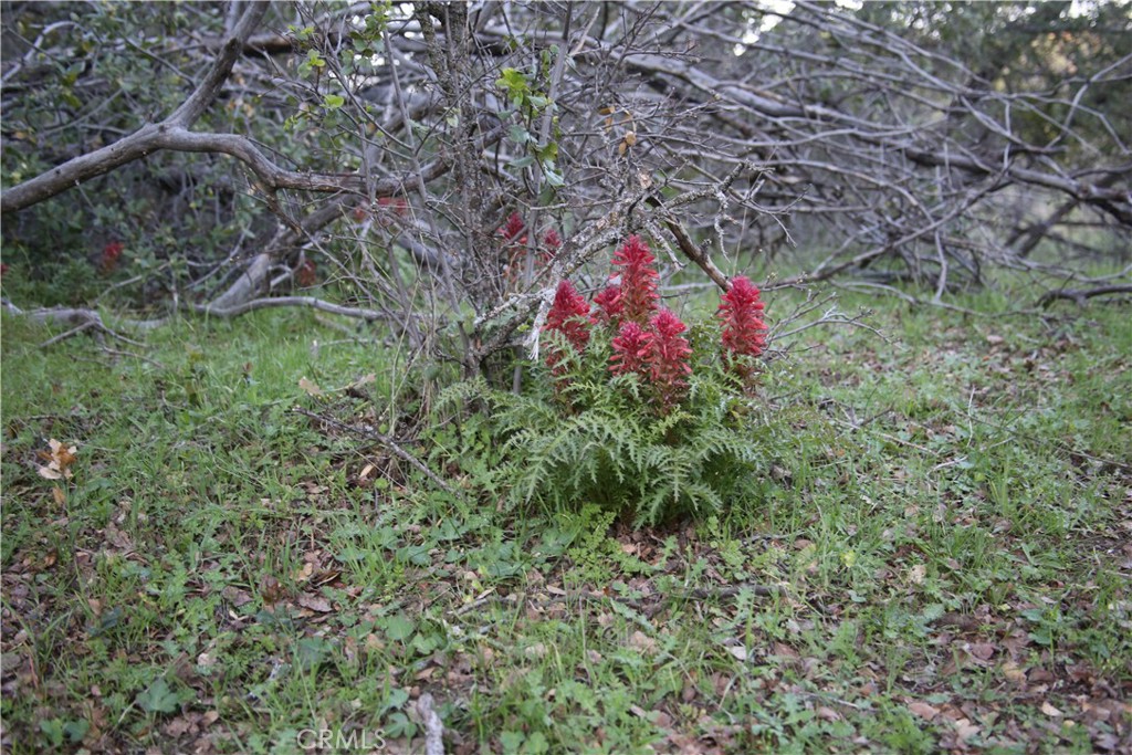 18 Unassigned Usona Rd., Mariposa, CA 95338