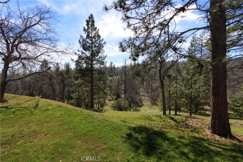 5518 E Whitlock Rd, Mariposa, CA 95338