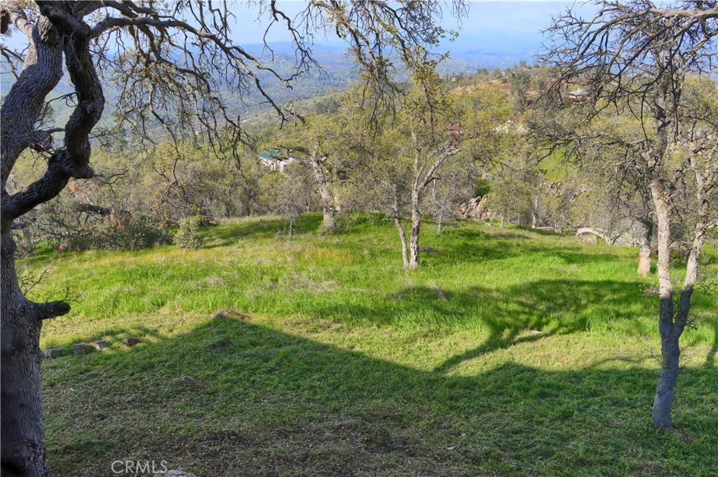 41345 Lilley Mountain R, Coarsegold, CA 94614