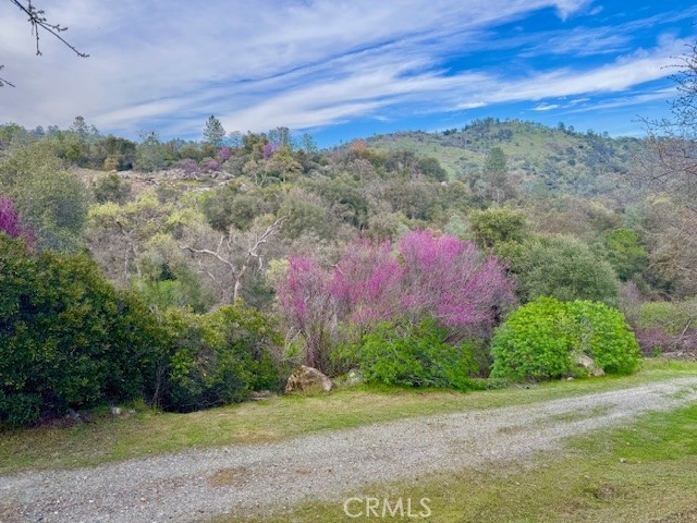 4451 S State Highway 49, Mariposa, CA 95338