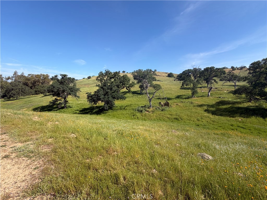 1991 Ca-140, Catheys Valley, CA 95306