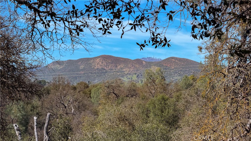 4421 Scrubby Oak, Mariposa, CA 95338