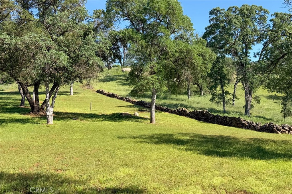 3212 Silver Bush Pl, Catheys Valley, CA 95306