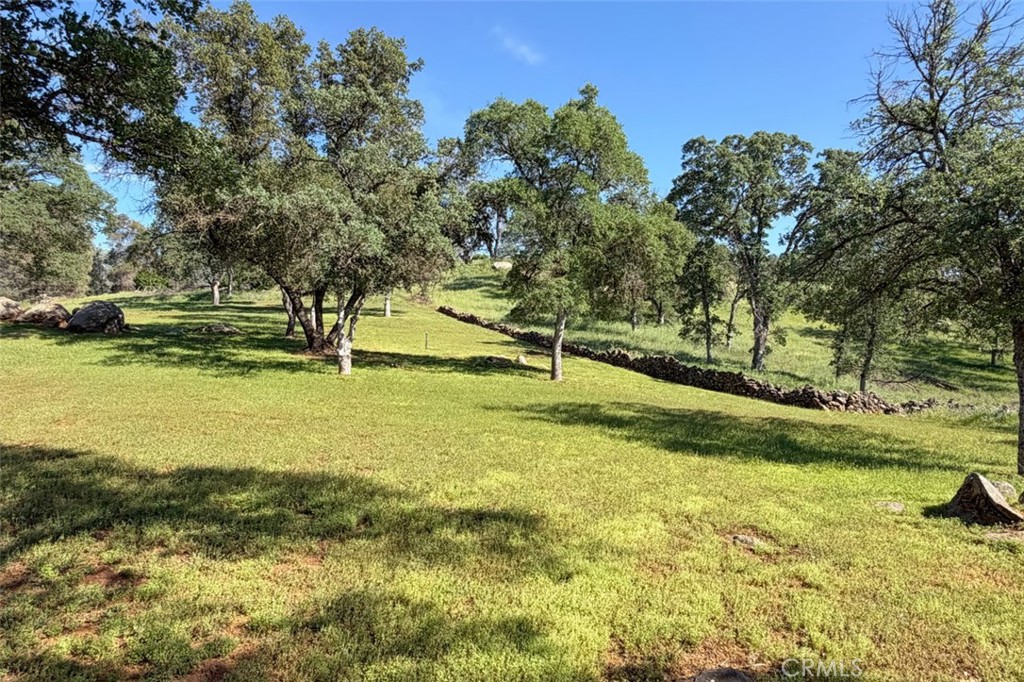 3212 Silver Bush Pl, Catheys Valley, CA 95306