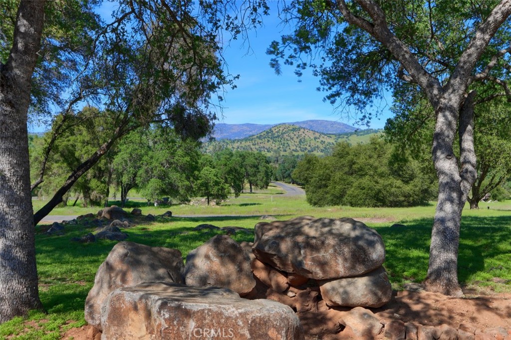 3212 Silver Bush Pl, Catheys Valley, CA 95306